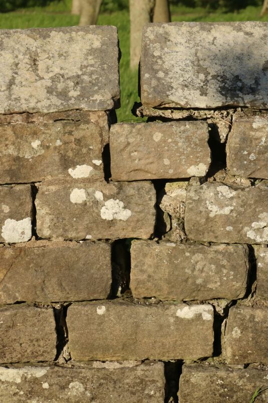 Stone Wall Repair in Castro Valley, CA